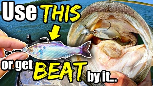 The #1 Technique in Bass Fishing that the Pros DON'T want You to Know...