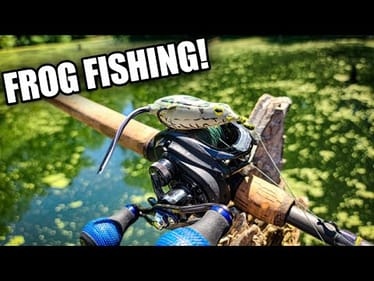 Catching Bass ALL DAY with a Topwater Frog (Reaction Innovations Swamp Donkey)