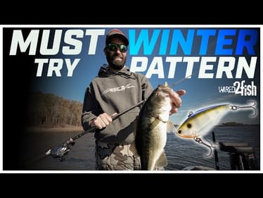 THIS Winter Pattern Produces Bites