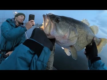 Night Fishing In JAPAN Pays Off With GIANT FISH!