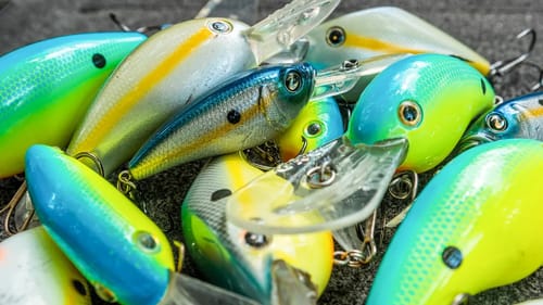 Summer Crankbait Fishing: Best Baits, Modifications, and Colors (GIANT Fish Hooked!!)