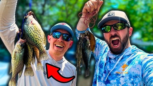 Catch And Cook With Debo's Fishing and Fish Anything!