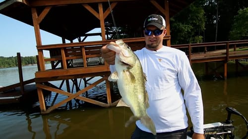 Late Summer Dock Fishing for Bass