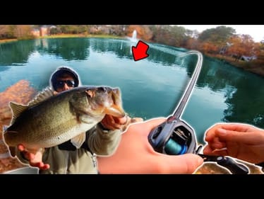POND HOPPING Private Ponds For GIANT BASS! (Bank Fishing)
