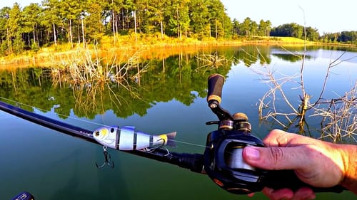 Fishing NEW Swimbaits for GIANT Bass!!