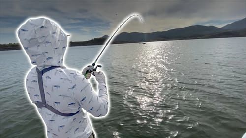 Mexico PB Breaker? Full Spawn Bass Break Down