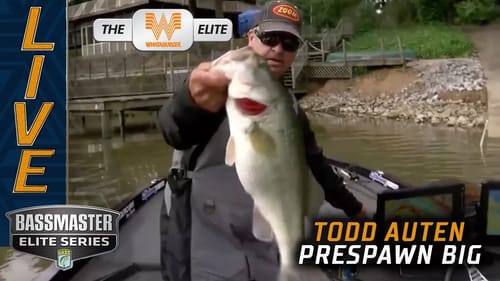 Todd Auten lands a prespawn big bass on Neely Henry