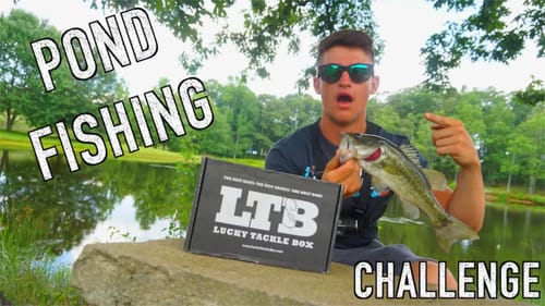 POND FISHING - LTB Challenge