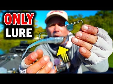 The ONLY Lure you NEED to Catch Fish in November