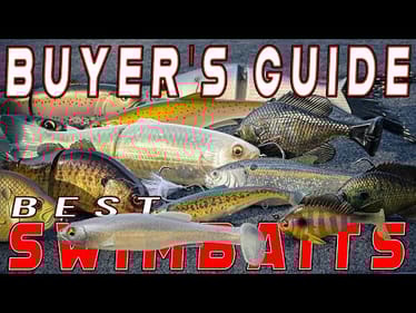 2025 BUYER'S GUIDE: The Best Swimbaits For Bass Fishing! (Glide Baits, Soft Baits, Hard Baits)
