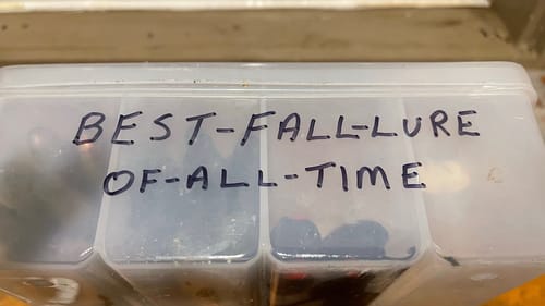 Best Fall-Season Bass Lure?…95% Of Anglers Guess Wrong…