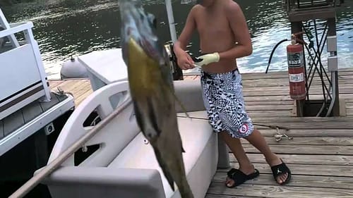 Fishing the Lake
