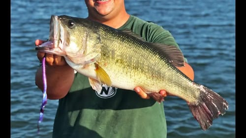 BIG UV Worm Fishing For Bass In The Summer! Texas Rig!
