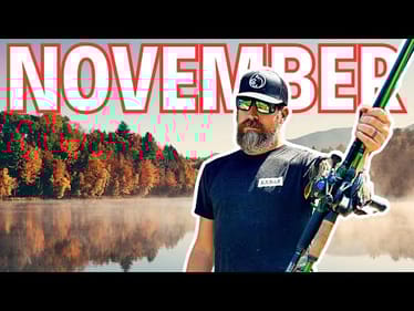 Out Fish Your Friends this NOVEMBER with These 8 Bass Lures