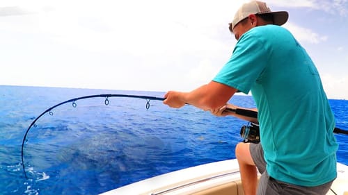 Googan fishermen vs Strongest Fish! (Who Wins?)