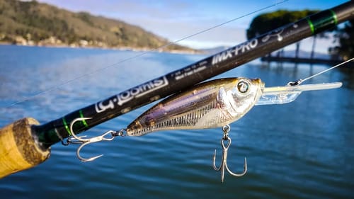 Crankbait Tricks For Winter and Early Spring Bass Fishing!