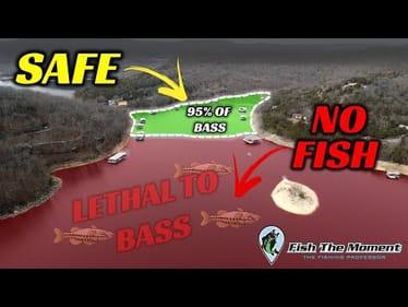 These Zones Are Lethal to Bass Right Now – Avoid Them At All Costs