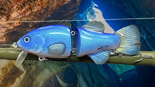 Making the Rarest Fish in the World | Devil's Hole PupFish