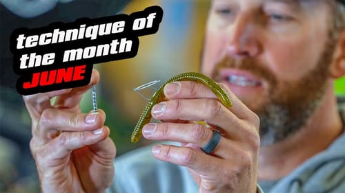 Technique Of The Month | June | Neko Rig
