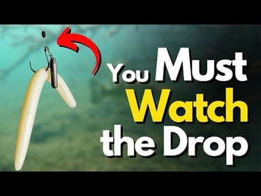 A Weightless Wacky Setup That's EASY To Fish Deep (Underwater Proof)