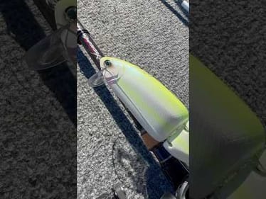 Have you ever seen a swim bait like this before? #Fishing