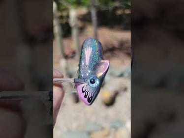 Showcase  Rainbow Roll, wow!