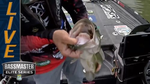 LAY LAKE: Bryan New lands a 5-10 largemouth
