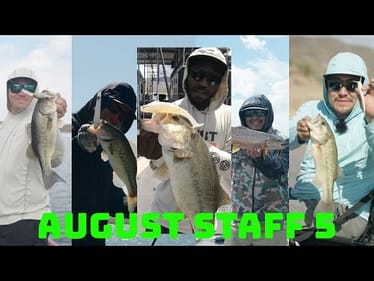 These Are Our 5 Go To Japanese Baits To Catch Fish When The Bite Gets Hard! August Staff 5