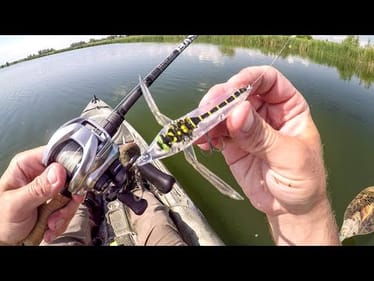 Fishing With A Dragonfly Lure