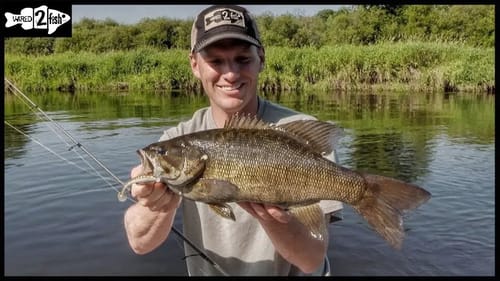 How to Target River Grassline Bass With Swimbaits