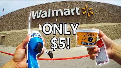 Micro Fishing For PET FISH Or BAIT! $5 WALMART Challenge!