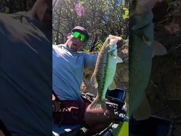 BEST DAY EVER SLY PARK JENKINSON LAKE | BASS FISHING #bassfishing #fishing #fish #kayakfishing #bass