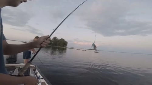Agony of Defeat Tamarack Island Lake of the Woods - Big Musky Dreams Episode 9