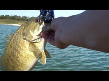 Topwater Collection of Fall Smallies