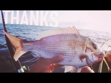First & Last Time I’ll Do This.. Plus Snapper Fishing!
