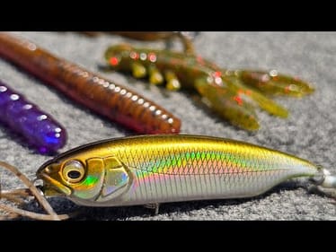 Best Baits To Catch Bass When Its HOT In August!