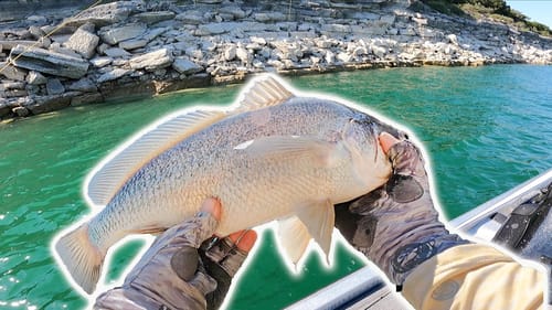 Fishing Ultra Clear Water for Rare Bass