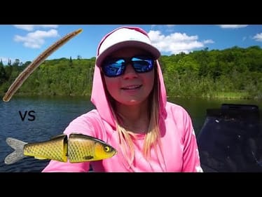Fish says NO to SENKO, & YES to PIZZ Baby Carp Glide!