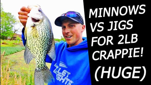Catching HUGE 2LB CRAPPIE! JIGS vs MINNOWS in the SPRING!