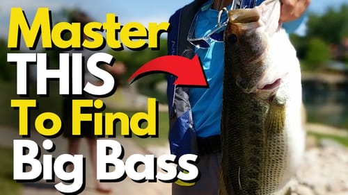 Huge Bass LOVE This Prey Species | Bass Fishing Tips