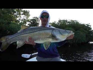 Rod and Reel Breakdown