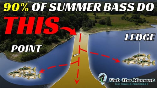 Big Bass Always Stack Up Here As The Water Gets Warmer – Don’t Miss This!