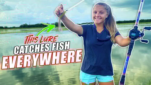My Favorite Bait That Catches Fish EVERYWHERE!