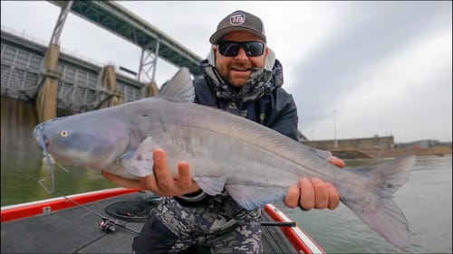 Winter Dam Fishing - What Will We Catch Next?!
