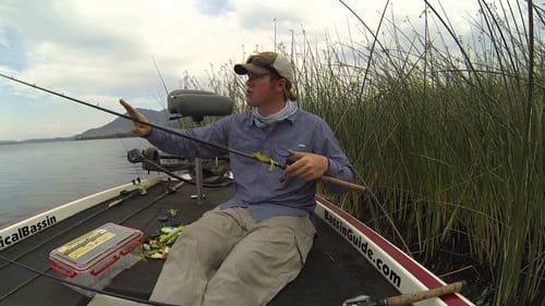 How to Choose the Right Frog for Topwater Fishing