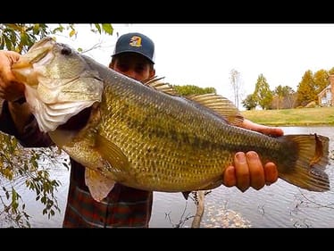 Largest Bass of the Year