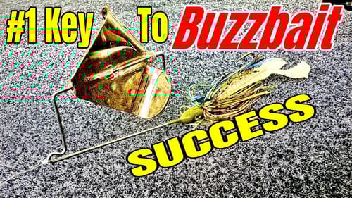 The MOST Important KEY to BUZZBAIT Success