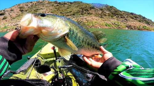 Tournament on Lake San Vicente(ABA Day 1)