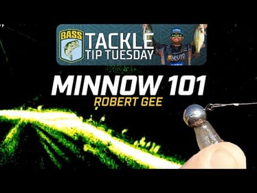 Fishing a minnow for all three species
