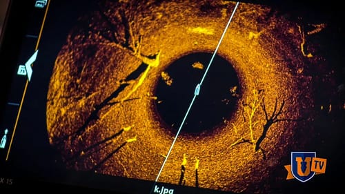 Humminbird vs Garmin vs Lowrance : More Marine Sonar Electronics